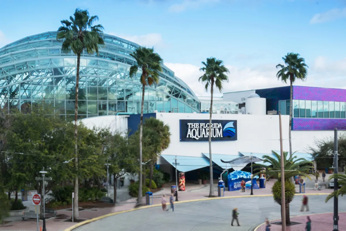 The Florida Aquarium