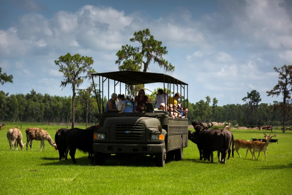 Safari Wilderness Ranch