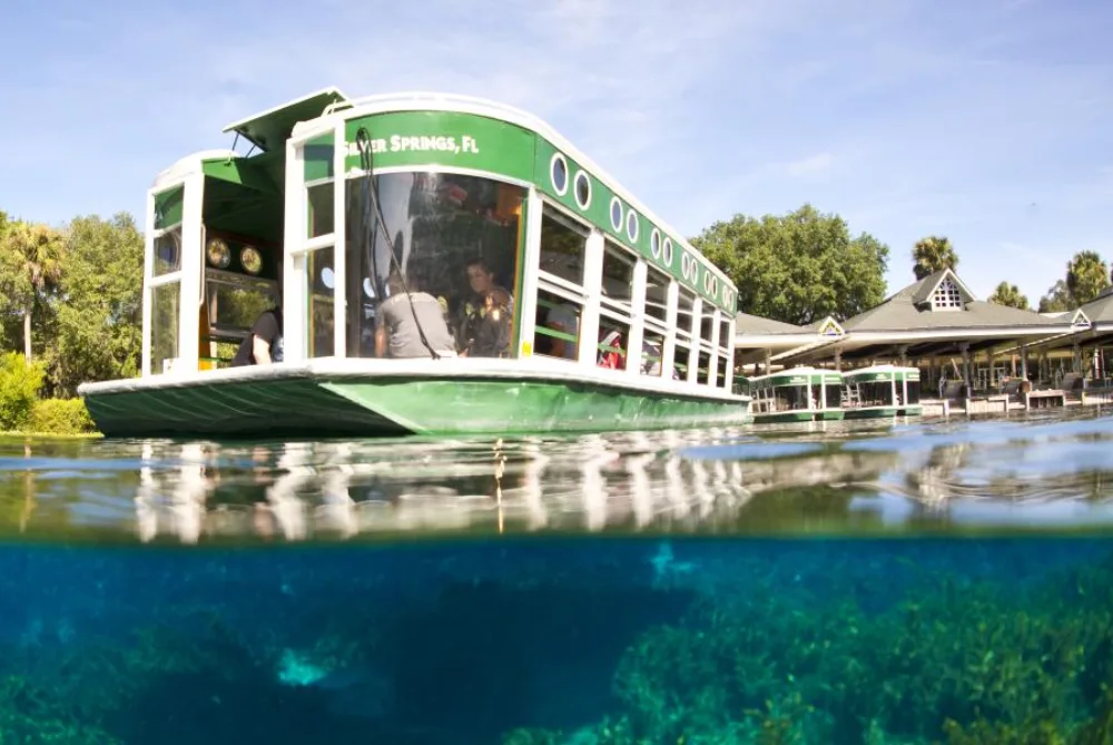 Silver Springs Glass Bottom Boat Tours